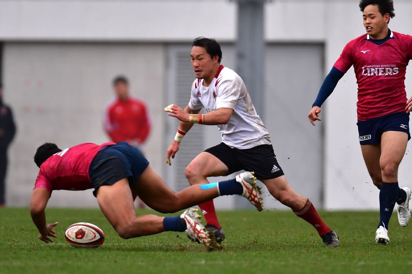 【プラクティスマッチvs花園近鉄ライナーズ戦】小泉選手 (2).jpg