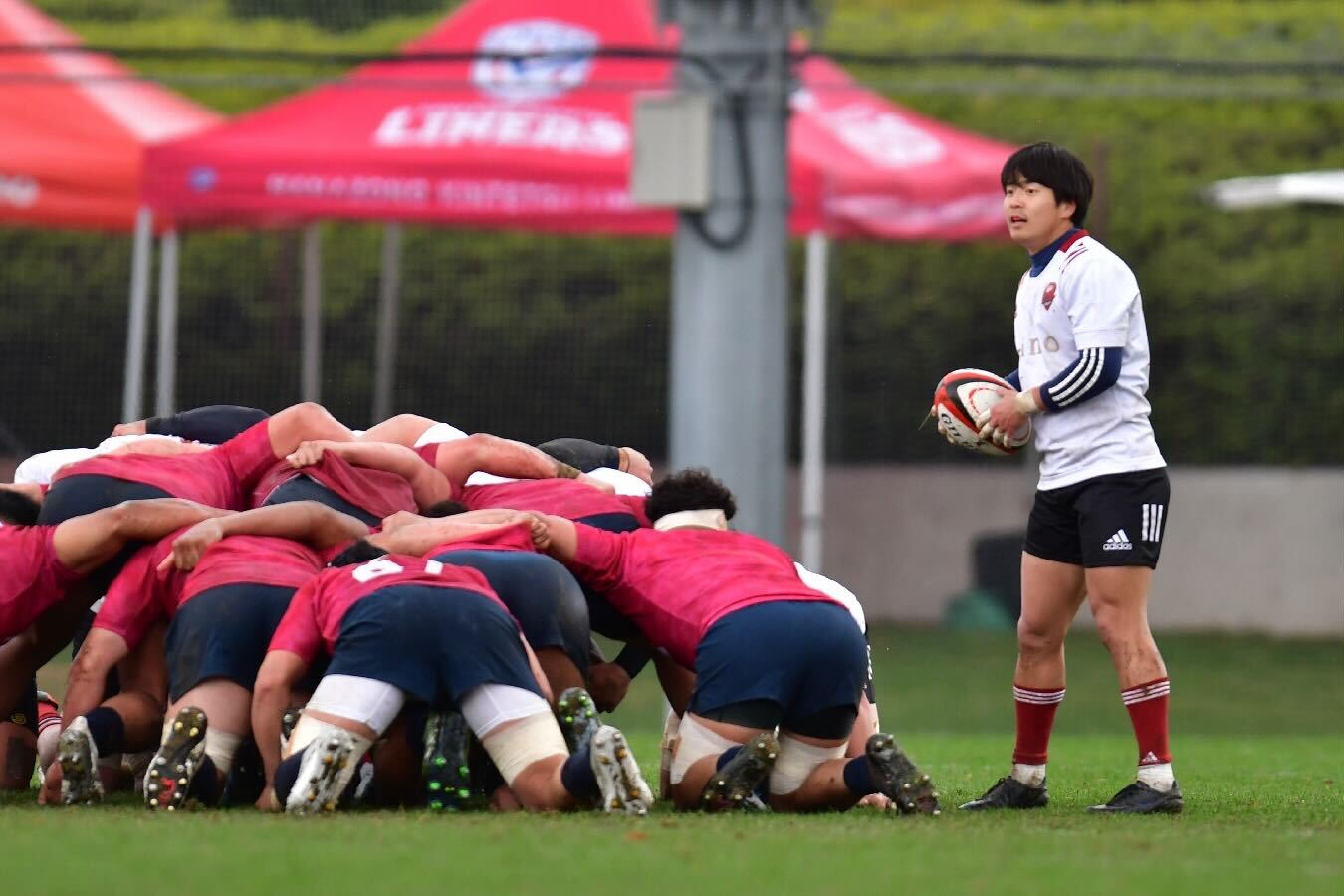 【プラクティスマッチvs花園近鉄ライナーズ戦】井之上選手.jpg