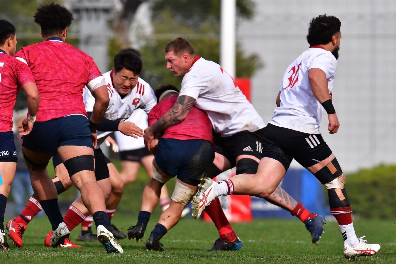 【プラクティスマッチvs花園近鉄ライナーズ戦】フェナー選手.jpg