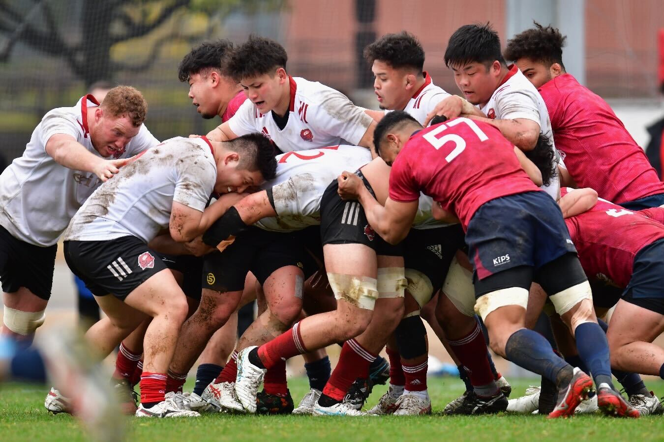 【プラクティスマッチvs花園近鉄ライナーズ戦】モール.jpg