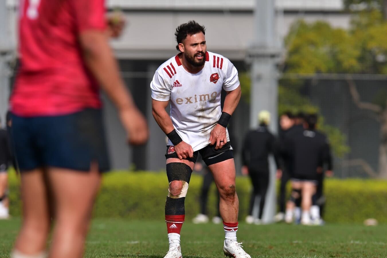 【プラクティスマッチvs花園近鉄ライナーズ戦】ソーンダース選手.jpg