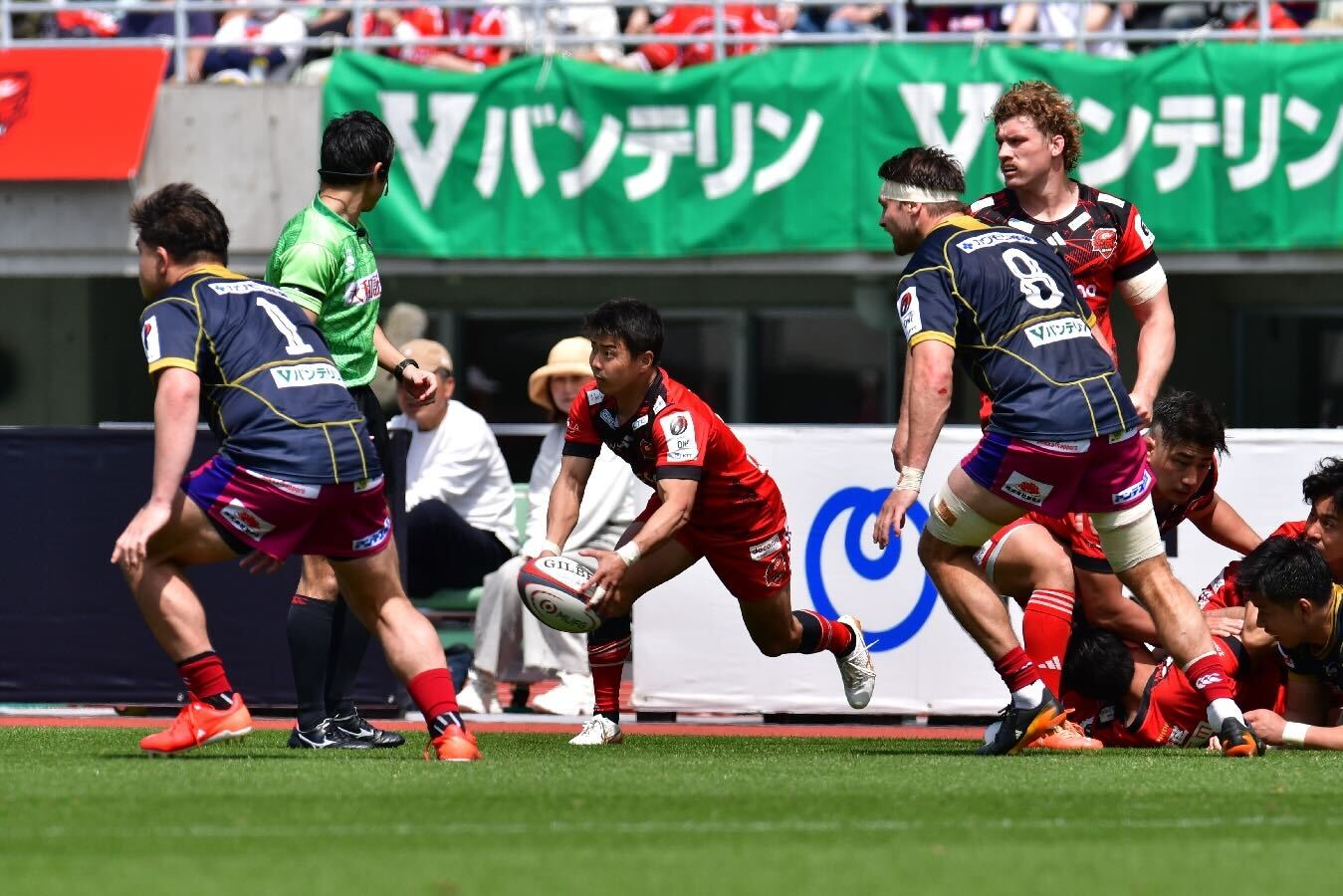【リーグワン第11節】井之上選手.jpg